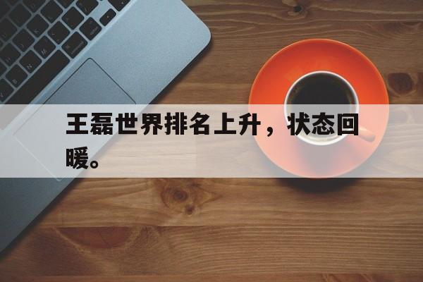 金年会电脑app-王磊世界排名上升，状态回暖。