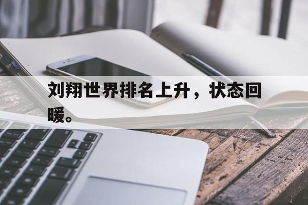 jinnianhui电脑app-刘翔世界排名上升，状态回暖。